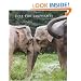 Just for Elephants