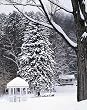 Snow Scene in a Woodstock, Vermont, Park Photograph - Beautiful 16x20-inch Photographic Print by Carol M. Highsmith