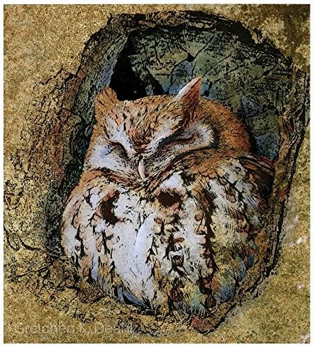Birds Bird Art Limited Edition Giclee Print Owl Print