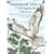 Birds of Prey Coloring Book (Coloring Books)