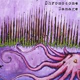 Chromosome Damage (S/T)