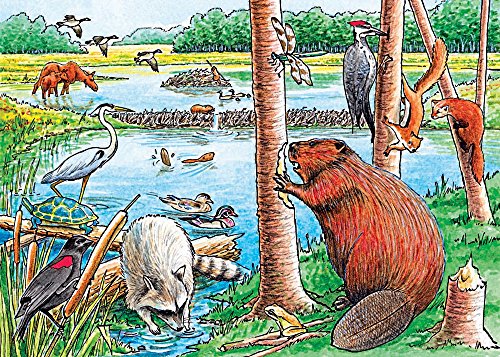 The Beaver Pond, A 35 Piece Tray Puzzle by Cobble Hill