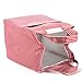 Lunch Bag Red 9.44