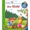 B�cherhits f�r kleine R�uber (2 - 5 Jahre)