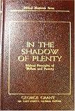 In the Shadow of Plenty - Biblical Principles of Welfare and Poverty - George Grant