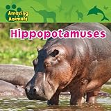 Hippopotamuses (Amazing Animals)