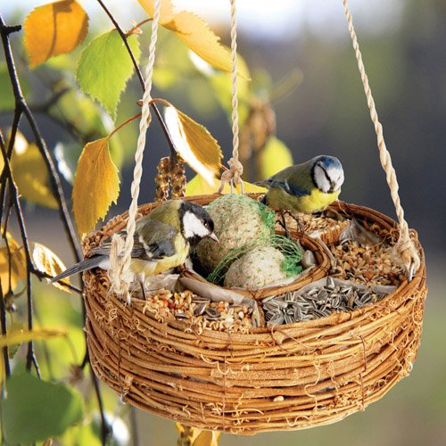 LUXURY BIRD SEED HANGING BASKET-Superb Mothers Day Gift Or Bird Care Gift For Mum,Mom,Her,Dad,Him,Her,Grandma,Grandad