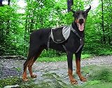Funkeen Approach Dog Travel Pack Hound Camping Backpack Hiking Saddle Bag Rusksack with Reflective Stripe for Medium & Large dogs