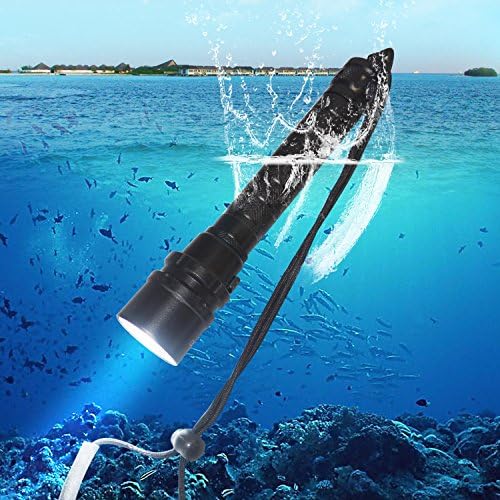 Gogolighting® 4000 Lumen 3x XM-L2 T6 LED Scuba Diving Flashlight Fishing Torch Lamp With AC Charger/Rechargeable 18650 battery/Lanyard