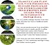 Book Massive Cash Flow Pack with Promotion, Success Principles and Inner Game for High Protein Diet Guides Web Businesses 3 CD Power Pack