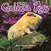 Guinea Pigs 16 Month 2010 Calendar