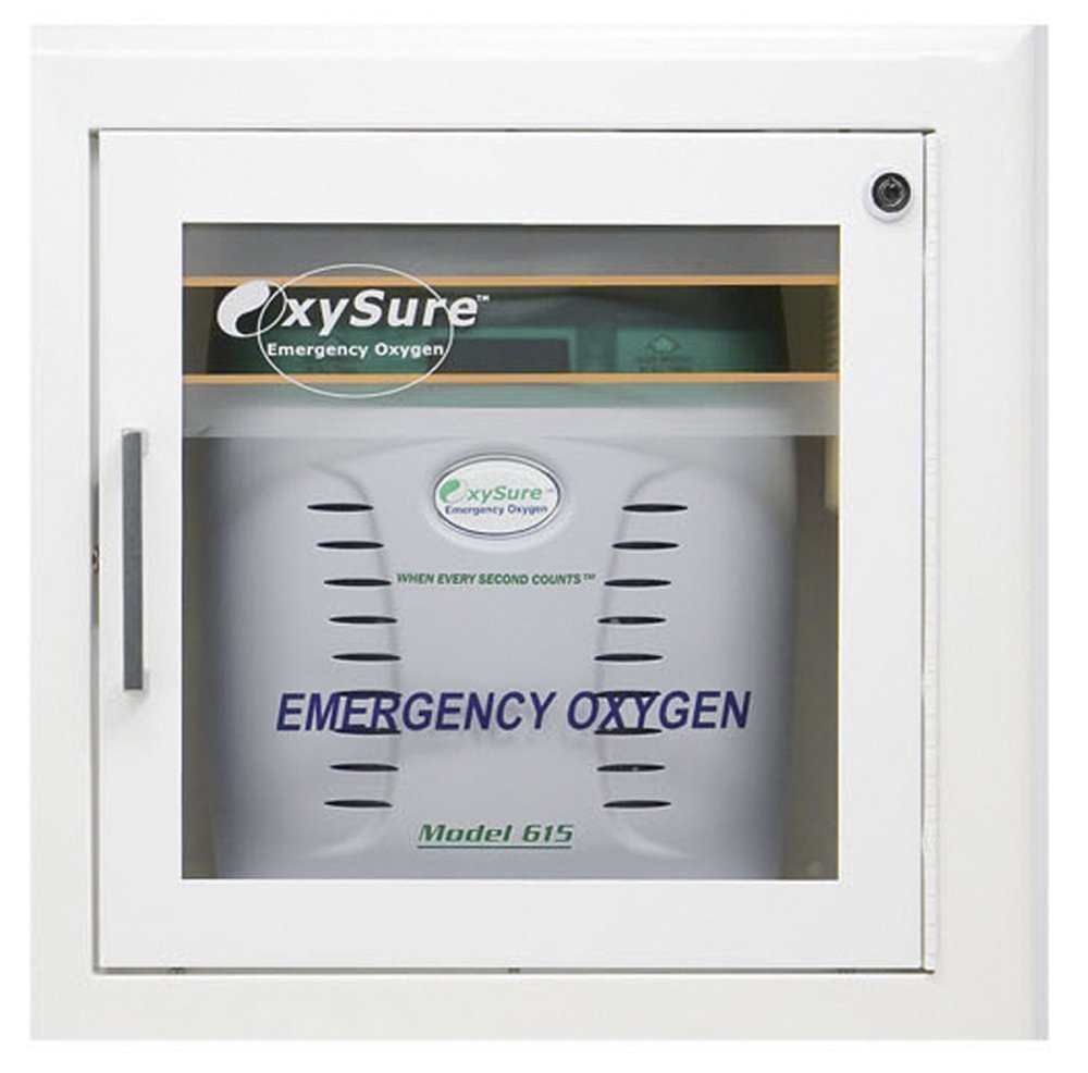 portable oxygen system