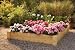 Natural Rustic Cedar Raised Bed Planter 4x4'