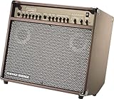 Genz Benz Shenandoah SHEN-60LT 60-Watt  Acoustic Guitar Amplifier