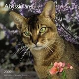 Abyssinians 2009 Calendar