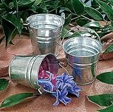 Mini Metal Buckets (1 dz)