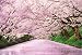 500コンパクトピース 弘前公園 桜の浮橋 35-004