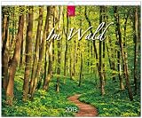 Produkt-Bild: Im Wald 2013