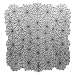 Heritage Lace Spider Web 60-Inch by 60-Inch Table Topper, Black