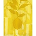 Designs Lemon Canvas Giclee - 12x16"