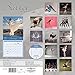 2015 Ballet Wall Calendar Carousel Calendars