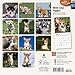 Welsh Corgi Puppies 18-Month 2015 Calendar