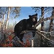 MINI Lazy Afternoon 100pc 7x9 Inch Jigsaw Puzzle by Terry Doughty