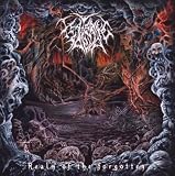 Realm of the Forgotten