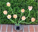 SohoDecor Decorative Garden Tulip Solar Lights , 8 LEDs version