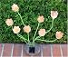 SohoDecor Decorative Garden Tulip Solar Lights , 8 LEDs version