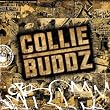 Collie Buddz