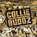 Collie Buddz