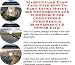 Massive Cash Flow Pack with How To Earn Extra Money, Biz Networking and eCommerce for Computers & Peripherals Businesses 3 CD Power Pack
