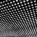Bloom (LP+MP3)