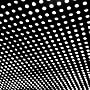 Bloom ~ Beach House