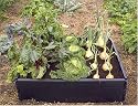 GARLAND RAISED GROW BED - GREAT FOR BIGGER, EARLIER & HEALTHIER CROPS!