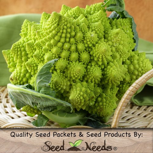 100 Fresh Seeds, Broccoli 