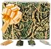 Cleo Mossy Oak Licensed Shadow Grass Gift Wrap and Bow Set: 250 Square Feet Wrapping Paper
