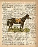 Dictionary Print - Horse Upcycled Vintage Dictionary Page Poster - Size 8x10