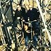 Bambule [Vinyl LP]