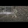 Pantha Du Prince - Stick To My Side 