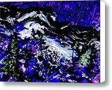Dog Dreams Canvas Print / Canvas Art - Artist JoAnn SkyWatcher