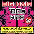 Various Artists: Big Hair '80s Hits
