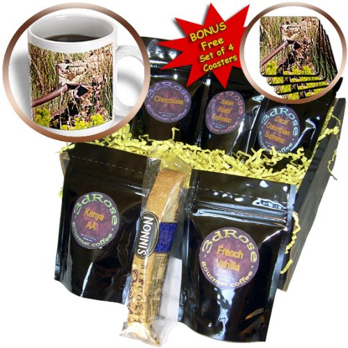 cgb_47444_1 Jos Fauxtographee Realistic - An Old Rustic Piece of Pipe Resting on Some Green Grass and Yellow Weeds - Coffee Gift Baskets - Coffee Gift Basket