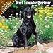   - 2008 Black Labrador Retreiver 2008 16 Month Wall Calendar **IN STOCK NOW**