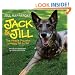 Jack & Jill: The Miracle Dog with a Happy Tail to Tell