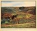 1930 Print Jim Dole's Hawaiian Pineapple Plantation - Original Color Print