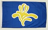 Drapeau Belgique Région Bruxelles-Capitale - 90 x 150 cm