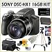 Sony Cybershot DSC-HX1 9.1MP Digital Camera with 20x Optical Zoom with Super Steady Shot Image Stabilization and 3.0 Inch LCD + 16GB Deluxe Accessory