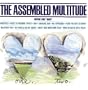 Assembled Multitude